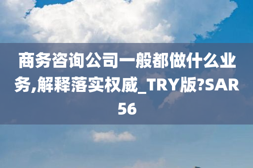 商务咨询公司一般都做什么业务,解释落实权威_TRY版?SAR56