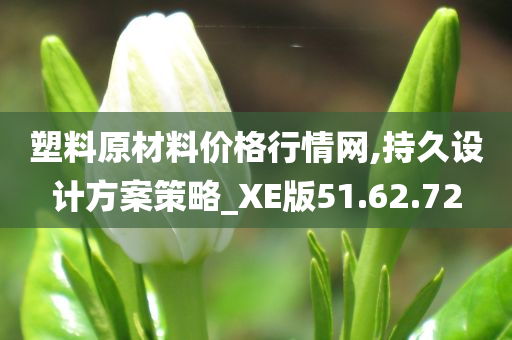 塑料原材料价格行情网,持久设计方案策略_XE版51.62.72