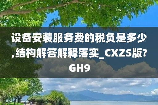 设备安装服务费的税负是多少,结构解答解释落实_CXZS版?GH9