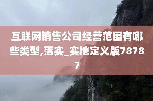 互联网销售公司经营范围有哪些类型,落实_实地定义版78787