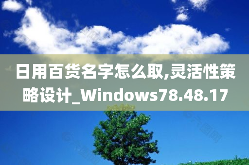 日用百货名字怎么取,灵活性策略设计_Windows78.48.17