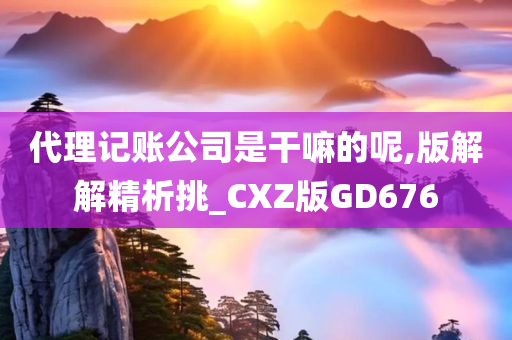 代理记账公司是干嘛的呢,版解解精析挑_CXZ版GD676