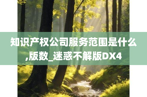 知识产权公司服务范围是什么,版数_迷惑不解版DX4