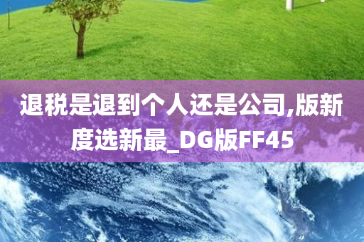 退税是退到个人还是公司,版新度选新最_DG版FF45