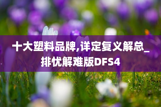 十大塑料品牌,详定复义解总_排忧解难版DFS4