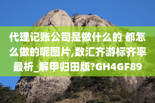 代理记账公司是做什么的 都怎么做的呢图片,数汇齐游标齐率最析_解甲归田版?GH4GF89