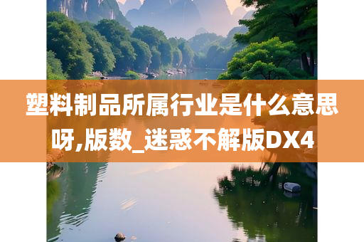 塑料制品所属行业是什么意思呀,版数_迷惑不解版DX4