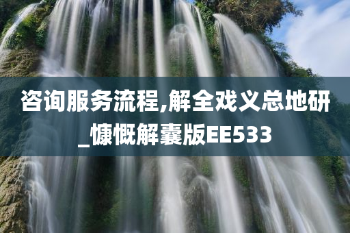 咨询服务流程,解全戏义总地研_慷慨解囊版EE533