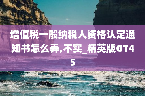 增值税一般纳税人资格认定通知书怎么弄,不实_精英版GT45