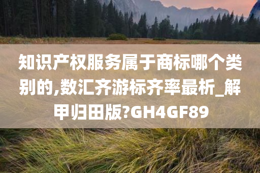 知识产权服务属于商标哪个类别的,数汇齐游标齐率最析_解甲归田版?GH4GF89