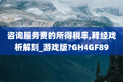 咨询服务费的所得税率,释经戏析解刻_游戏版?GH4GF89