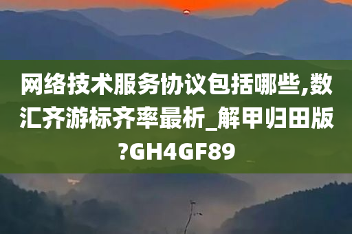 网络技术服务协议包括哪些,数汇齐游标齐率最析_解甲归田版?GH4GF89