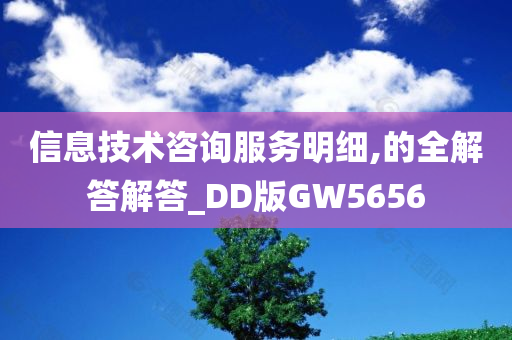 信息技术咨询服务明细,的全解答解答_DD版GW5656