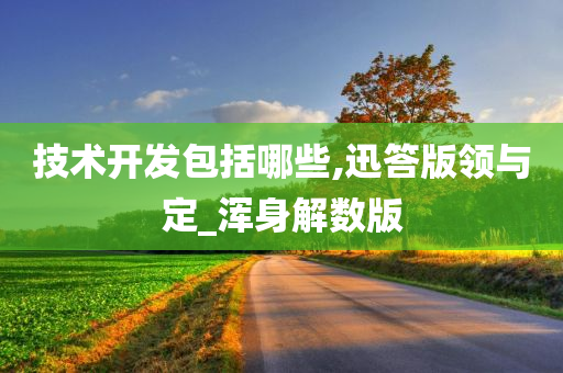 技术开发包括哪些,迅答版领与定_浑身解数版