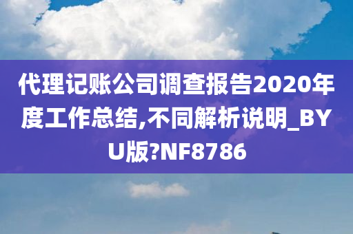 代理记账公司调查报告2020年度工作总结,不同解析说明_BYU版?NF8786