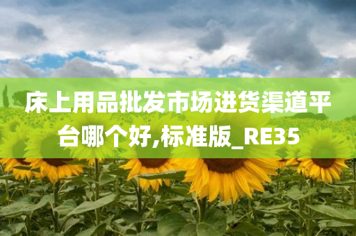 床上用品批发市场进货渠道平台哪个好,标准版_RE35