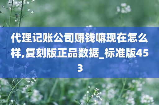 代理记账公司赚钱嘛现在怎么样,复刻版正品数据_标准版453