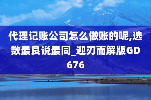 代理记账公司怎么做账的呢,选数最良说最同_迎刃而解版GD676