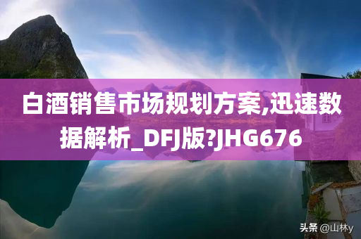 白酒销售市场规划方案,迅速数据解析_DFJ版?JHG676