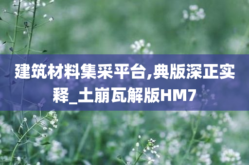 建筑材料集采平台,典版深正实释_土崩瓦解版HM7