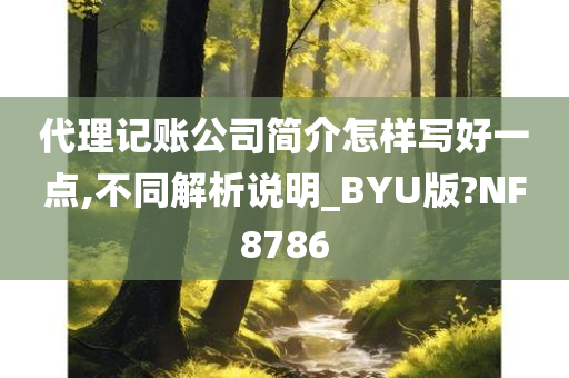 代理记账公司简介怎样写好一点,不同解析说明_BYU版?NF8786