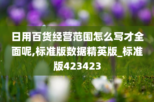 日用百货经营范围怎么写才全面呢,标准版数据精英版_标准版423423