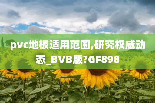 pvc地板适用范围,研究权威动态_BVB版?GF898