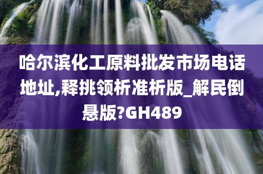 哈尔滨化工原料批发市场电话地址,释挑领析准析版_解民倒悬版?GH489