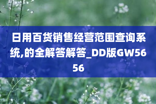 日用百货销售经营范围查询系统,的全解答解答_DD版GW5656