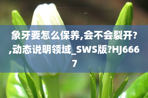 象牙要怎么保养,会不会裂开?,动态说明领域_SWS版?HJ6667