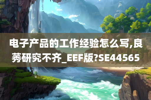 电子产品的工作经验怎么写,良莠研究不齐_EEF版?SE44565