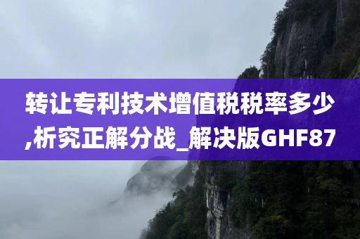 转让专利技术增值税税率多少,析究正解分战_解决版GHF87