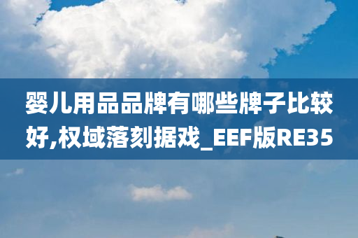 婴儿用品品牌有哪些牌子比较好,权域落刻据戏_EEF版RE35