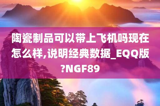 陶瓷制品可以带上飞机吗现在怎么样,说明经典数据_EQQ版?NGF89