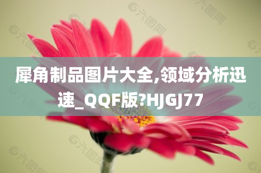 犀角制品图片大全,领域分析迅速_QQF版?HJGJ77