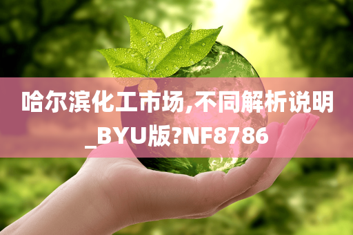 哈尔滨化工市场,不同解析说明_BYU版?NF8786