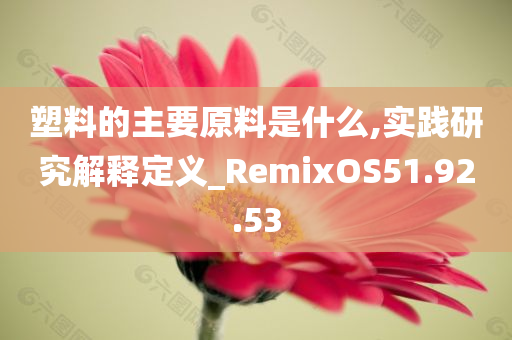 塑料的主要原料是什么,实践研究解释定义_RemixOS51.92.53