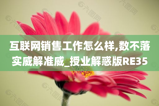 互联网销售工作怎么样,数不落实威解准威_授业解惑版RE35