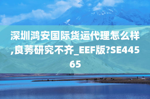 深圳鸿安国际货运代理怎么样,良莠研究不齐_EEF版?SE44565