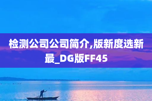 检测公司公司简介,版新度选新最_DG版FF45