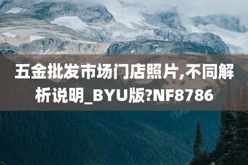 五金批发市场门店照片,不同解析说明_BYU版?NF8786