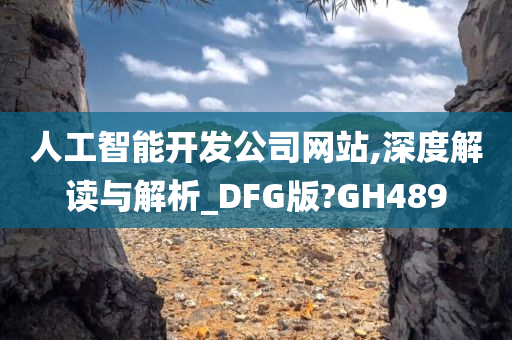 人工智能开发公司网站,深度解读与解析_DFG版?GH489