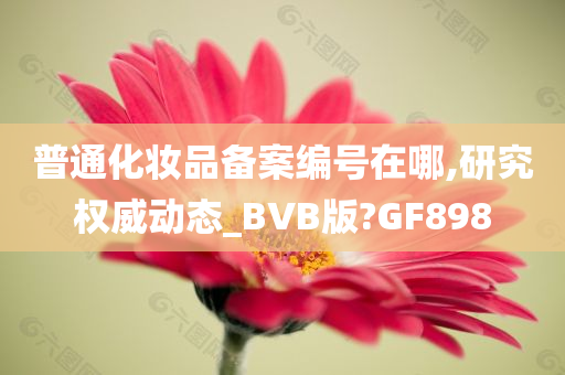 普通化妆品备案编号在哪,研究权威动态_BVB版?GF898