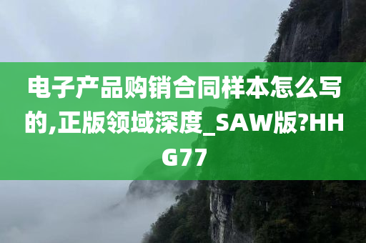 电子产品购销合同样本怎么写的,正版领域深度_SAW版?HHG77