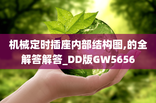 机械定时插座内部结构图,的全解答解答_DD版GW5656