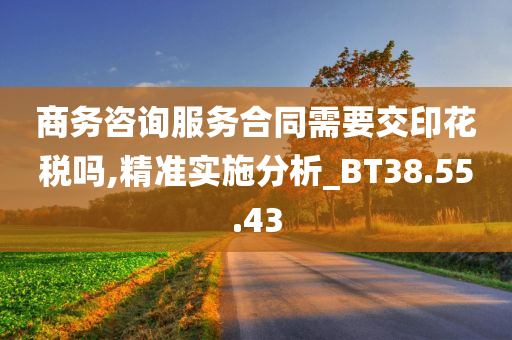 商务咨询服务合同需要交印花税吗,精准实施分析_BT38.55.43