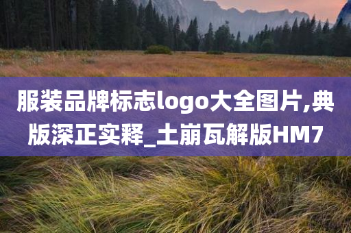 服装品牌标志logo大全图片,典版深正实释_土崩瓦解版HM7